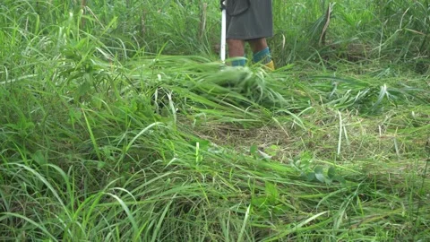 Man is clearing cut the weeds using a lawn mower weed Cordless 스톡 동영상 231255817