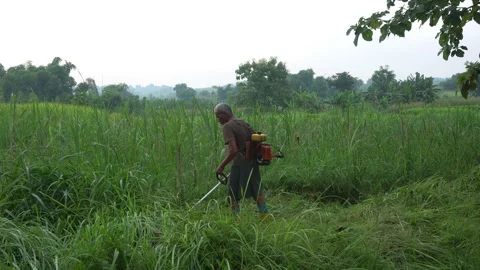 Man is clearing cut the weeds using a lawn mower weed Cordless 스톡 동영상 231257005