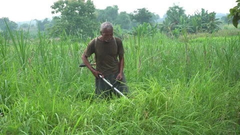 Man is clearing cut the weeds using a lawn mower weed Cordless Video stock 231257045