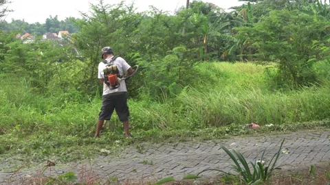 Man is clearing cut the weeds using a lawn mower weed Cordless Video stock 232470885