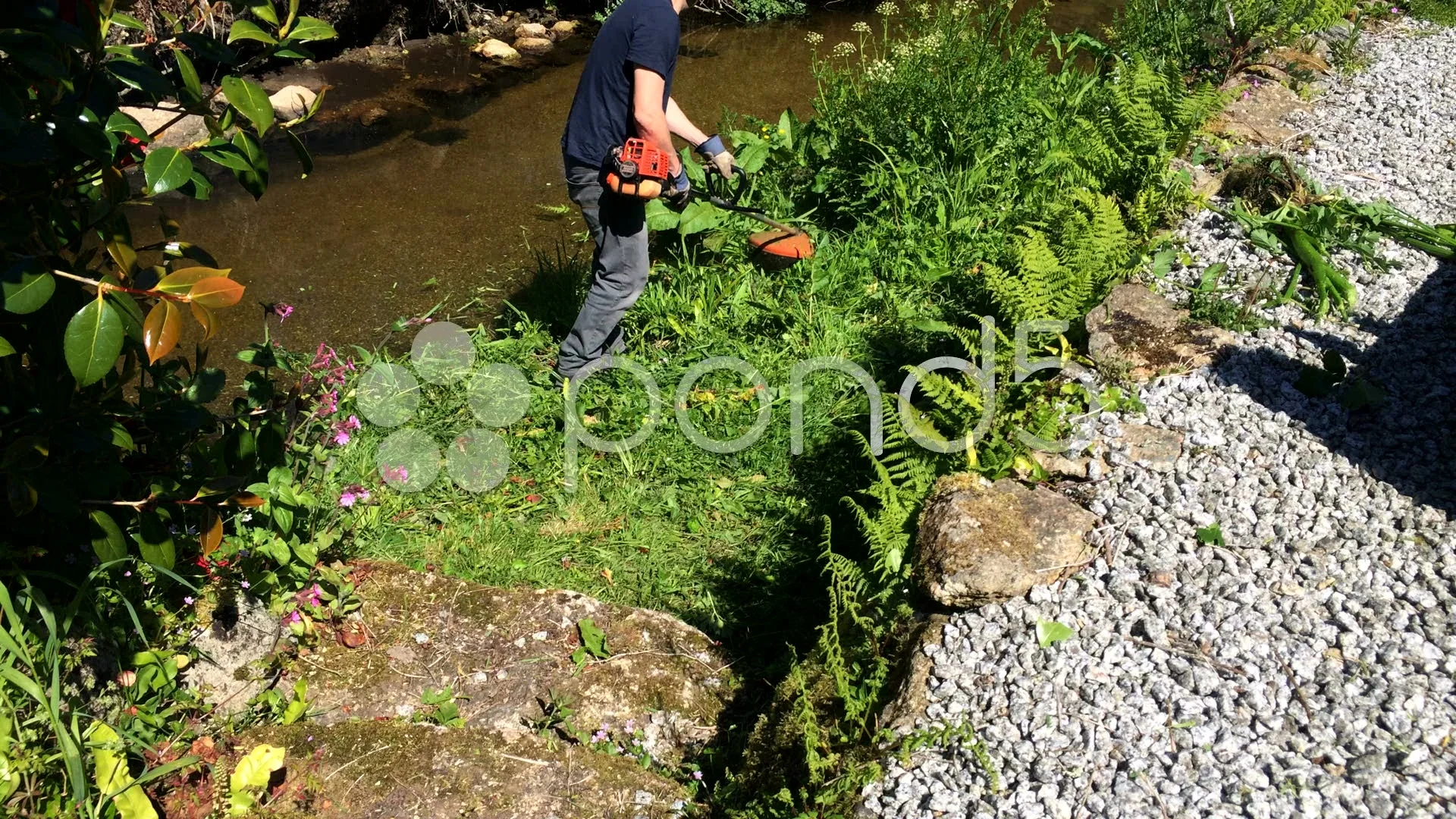 Garden store line strimmer