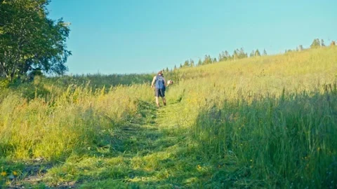 A Man Is Clearing Grass Using Brush Cutter During Sunny Day. Time-lapse Shot Stock Footage 334023770