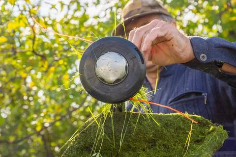 A man clears head of grass trimmer from residual grass. Gardener maintaining Foto stock