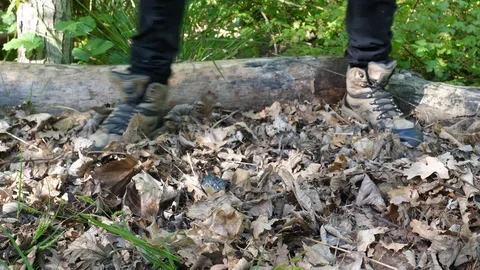 Man Clears Leaves in Forest with Foot Video stock 112682591