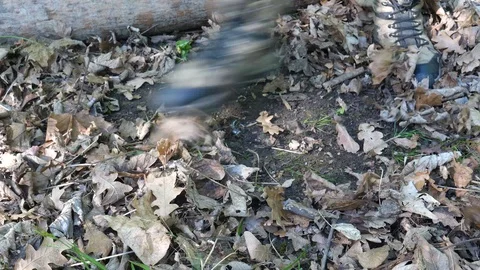 Man Clears Leaves in Forest with Foot Stock Footage 112682679