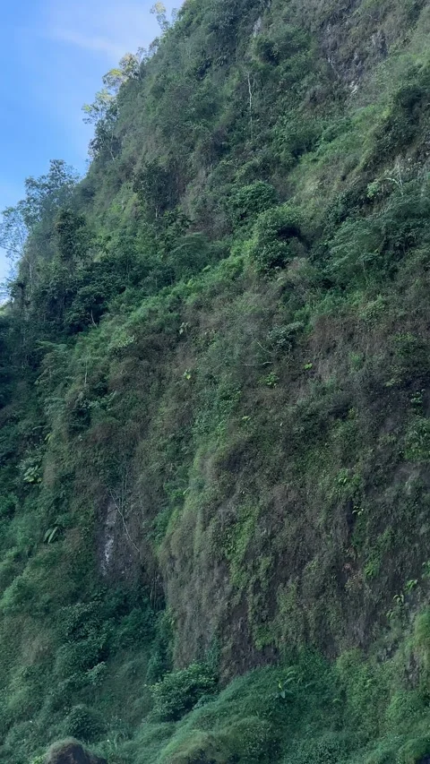 Man on Cliff Edge Overlooking Valley, Camera Pans to Tall Waterfall, Vertical Stock Footage 323909977