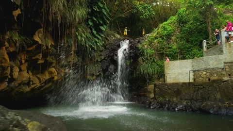 Man Cliff Jumping into Pool at Annandale Waterfall as Tourists Watch Grenada Stock Footage 342355678