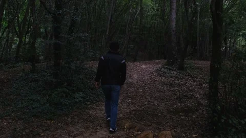 Man climbing and walking in forest Stock Footage 219210268