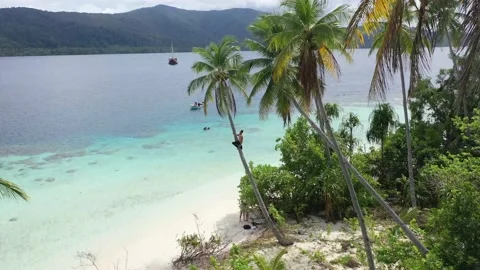 Man Climbing Coconut Tree on Secluded Island Holiday Raja Ampat Drone Shot Stock Footage 197059308