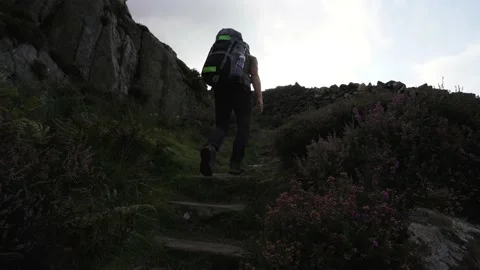 Man climbing stone steps beside pink heather on a dark mountainside 動画素材 139972252