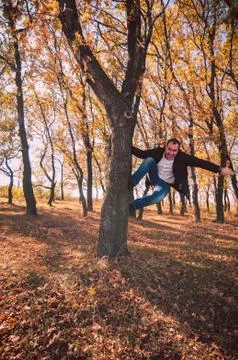 Man climbing tree Stock Photos
