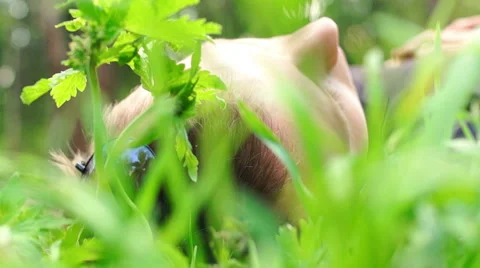 The man climbs in a grass Video stock 57336582