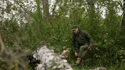 Man climbs onto a log and breaks branches Video stock 93539805