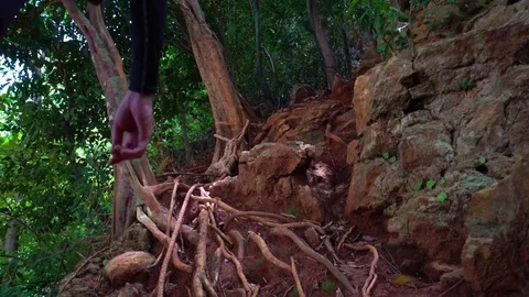 A man climbs a mountain along the rocks and roots of trees. Stock Footage 80920935