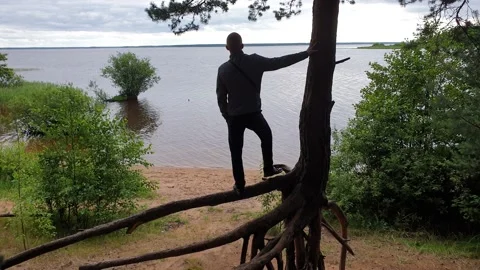 A man climbs trees in the forest. The guy by the water in nature. Stock Footage 156715682
