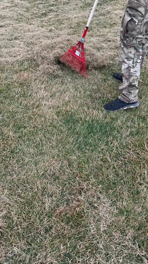 Man clogs the felt with a lawn with red plastic rags, after aeration Stock Footage 319974728