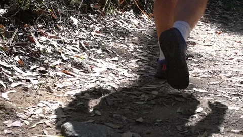Man Close Up of Feet Walking Through Bushland Hiking Nature Trail Stock Footage 237461803
