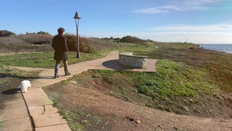 Man with coat walking in winter in front of the sea with dog following Stock Footage 116562307