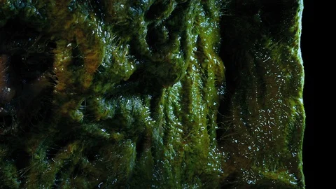 Man Cocooned In Alien Cave 스톡 동영상 126514359