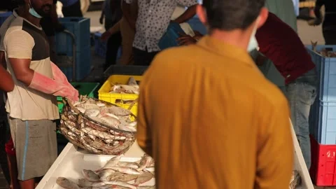 Man collect fish into the box on fish market, man pours out fish from basket. Stock-Footage 207807219