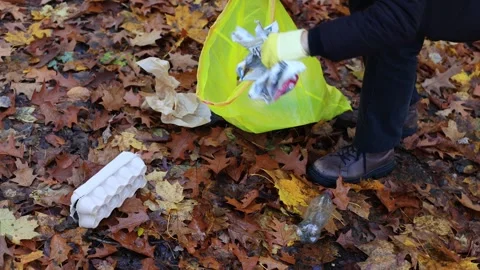 Man collect garbage in forest in package.global pollution of nature Vidéo 262667166
