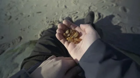 Man collecting amber on the beach. Point of View Shot. POV video. Stock Footage 239871469