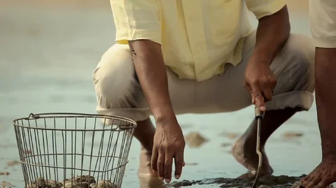 Man collecting shellfish on the beach with his adult son. 스톡 동영상 88342920