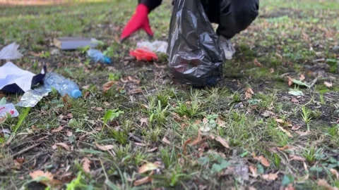 Man collecting trash in forest with garbage bag Stock Footage 329319875