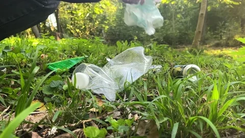 Man collecting trash in forest with garbage bag Stock Footage 329319908