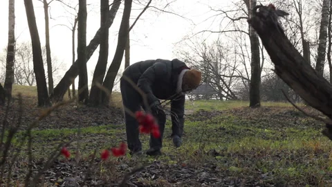 A man collects branches Stock Footage 144080202