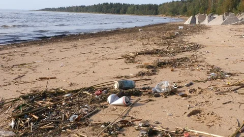 Man collects garbage on the beach 스톡 동영상 95450713