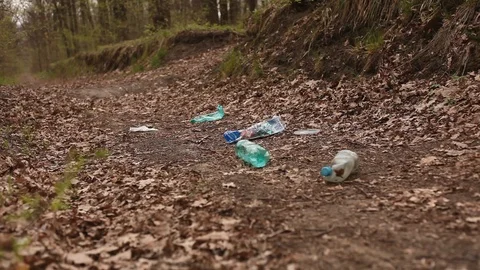 A man collects garbage in the forest Stock Footage 129709582