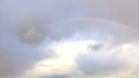 Man collects garbage on the grass Stock-Footage 95451183