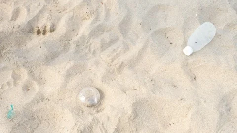Man collects plastic trash on beach from the sand view from above. Stock Footage 311041643