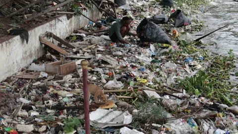 Man-collects-recyclable-plastic-cups-from-lake-trash Stock Footage 93973964
