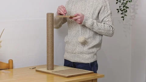 A man collects a scratching post for a cat. Vidéo 231270679