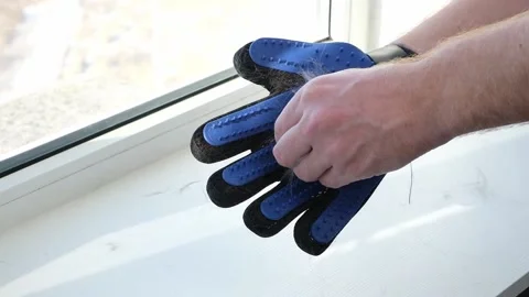 A man combs the cat's fur with special glove and comb. Видео 170816894