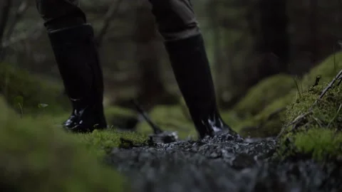 A man comes out of the forest along a mountain river in the mountains Stock Footage 222714630