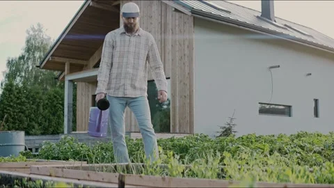 Man comes to vegetable beds and waters them with a watering can in the backyard Video stock 199870504