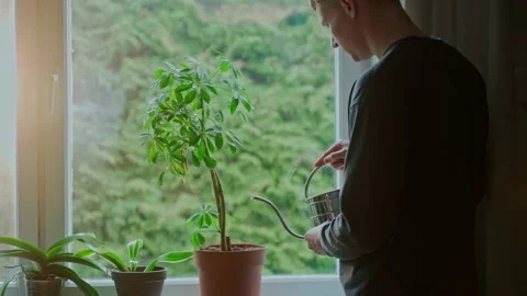 A man comes to the window and waters the plants standing on the windowsill Видео 197135930