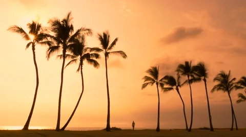 Man coming back from the beach Hawaii Stock Footage 66682920