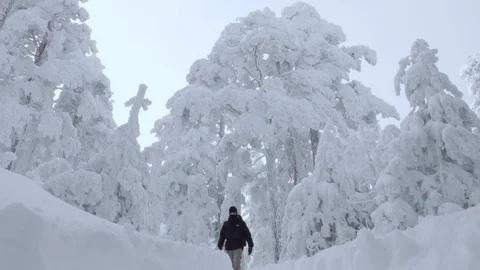 Man coming to camera in the freezed forest. Wintertime Video stock 86222790