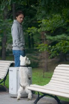 A man communicates with a dog in the park. Stock Photos