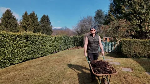 Man with compost wheelbarrow walking along garden path between green hedges in Stock Footage 332177681