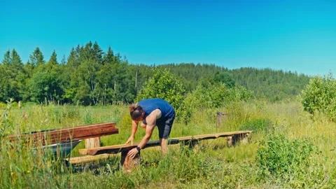 Man Constructing A Wooden Structure In A Forested Area - Wide Shot Stock Footage 334023673