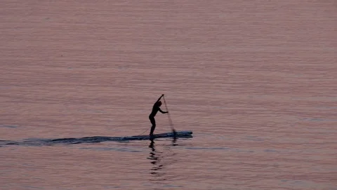 The man controls the paddle and quickly swims on the SUP board Stock Footage 116330721
