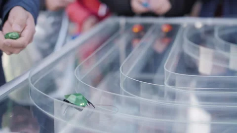 Robotic Insect Stock Video Footage | Royalty Free Robotic Insect Videos ...