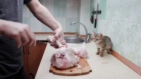 A man cooks chicken in the kitchen surrounded by cats Stock Footage 233199262