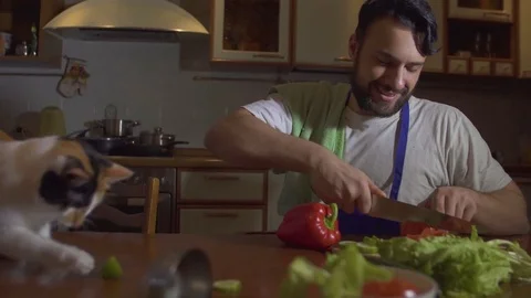 A man cooks in the kitchen beside him sits a funny beautiful cat Stock Footage 71642161