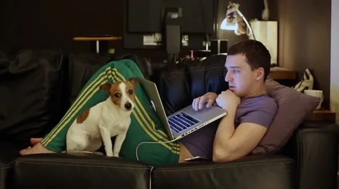 The man on the couch with a laptop and a dog Stock Footage